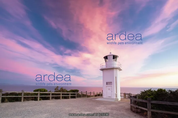 : Cape Liptrap lighthouse at sunset on the Bass Coast n : Cape Liptrap lighthouse at sunset on the Bass Coast n