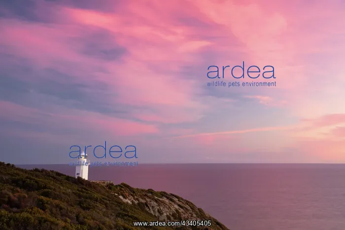 : Cape Liptrap lighthouse at sunset on the Bass Coast n : Cape Liptrap lighthouse at sunset on the Bass Coast n