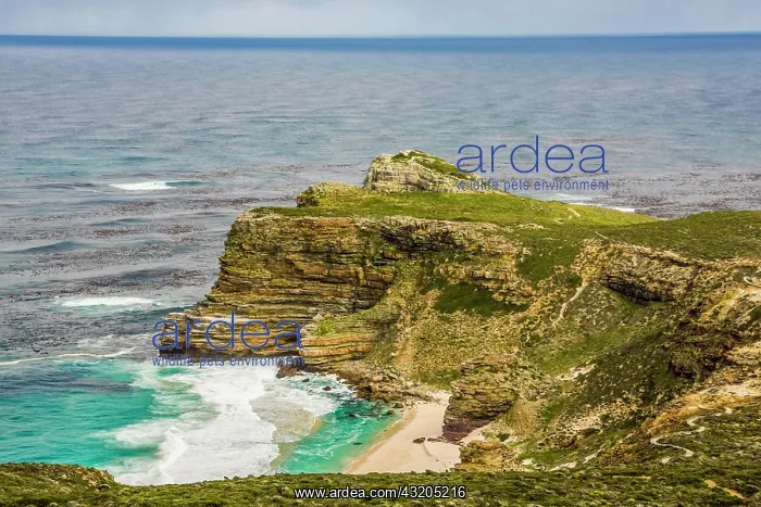 : Cape Point, Cape Peninsula, Cape Town, Western Cape : Cape Point, Cape Peninsula, Cape Town, Western Cape