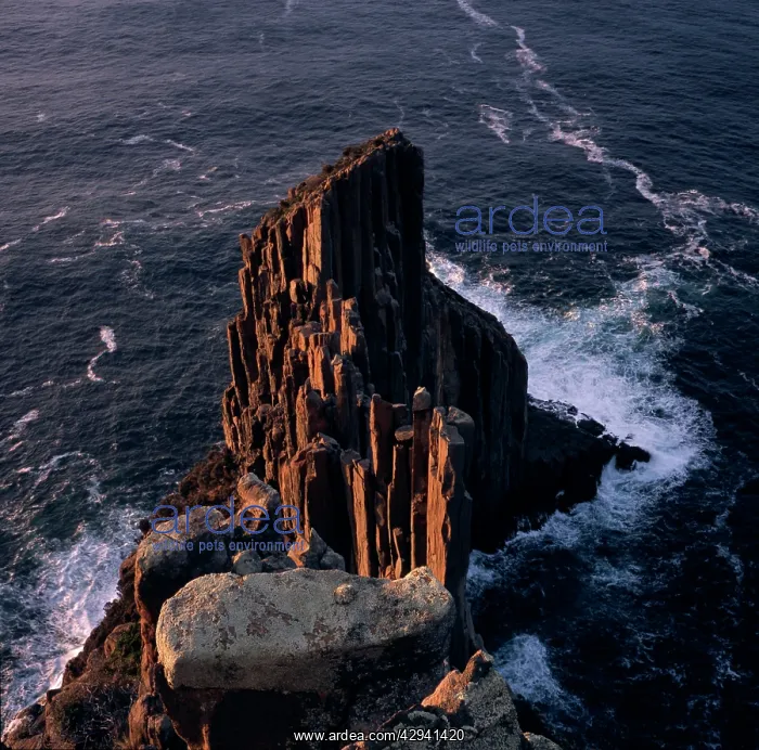 : Cape Raoul in early morning, guardian to the entrance : Cape Raoul in early morning, guardian to the entrance
