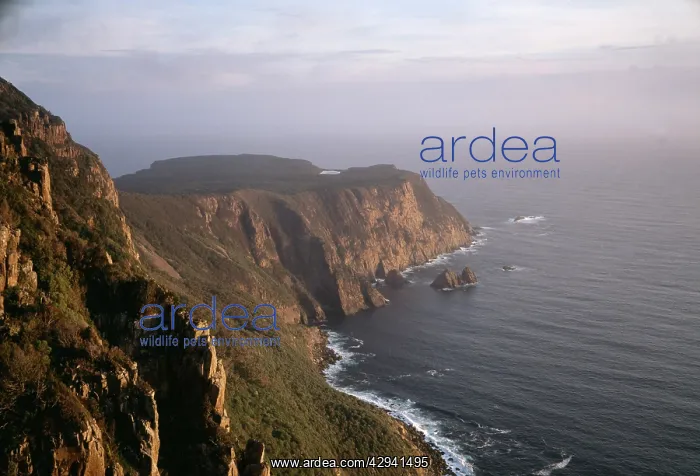  : Cape Raoul, guardian to the entrance to Storm Bay