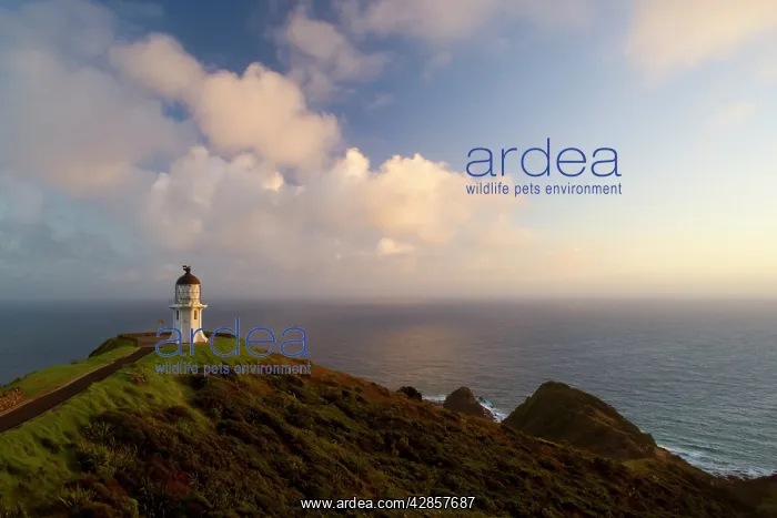 : Cape Reinga - northernmost tip of New Zealand with : Cape Reinga - northernmost tip of New Zealand with