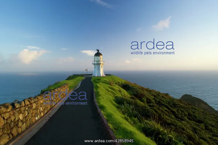 : Cape Reinga - northernmost tip of New Zealand with : Cape Reinga - northernmost tip of New Zealand with
