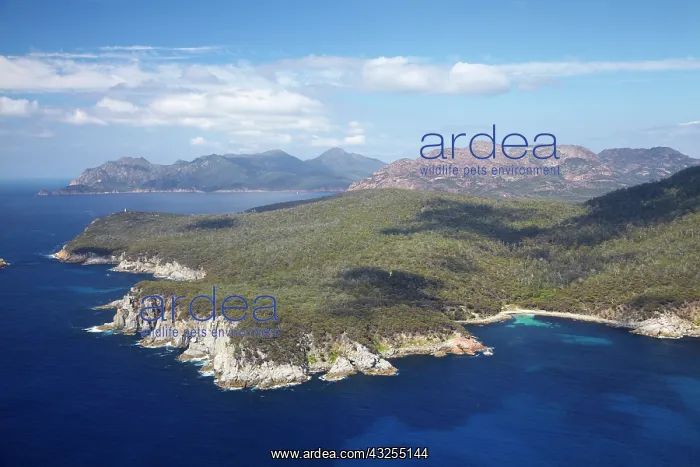 : Cape Tourville, Freycinet National Park : Cape Tourville, Freycinet National Park