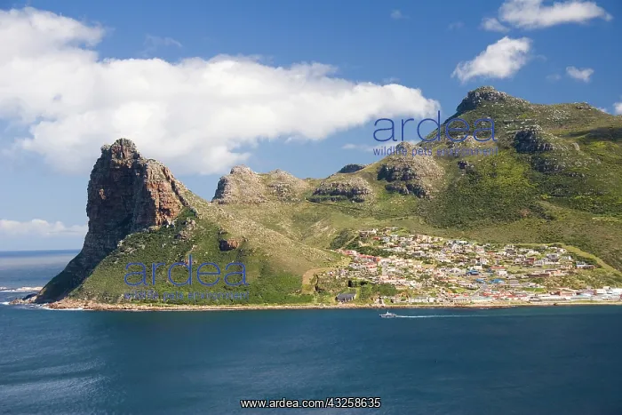 : Cape Town, South Africa. The Cape Peninsula : Cape Town, South Africa. The Cape Peninsula