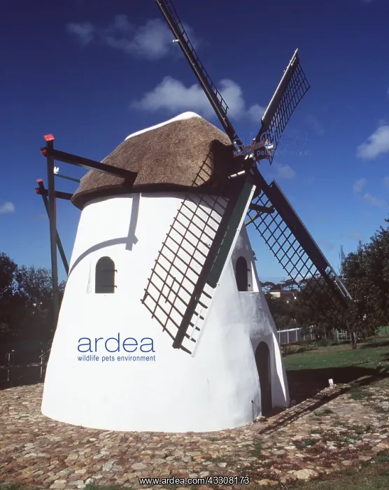 : Cape Town, South Africa - Mostert's Mill : Cape Town, South Africa - Mostert's Mill