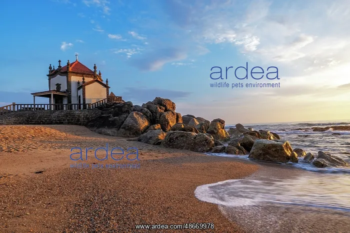 : Capela do Senhor da Pedra Chapel on the beach near Porto : Capela do Senhor da Pedra Chapel on the beach near Porto