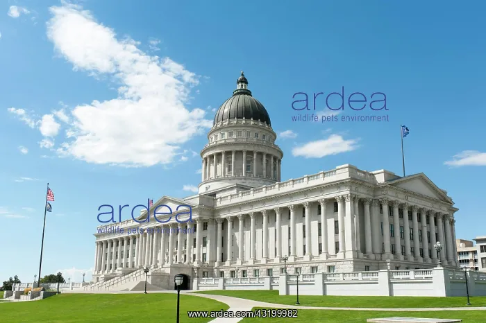 : Capitol, Supreme Court and Parliament, Capitol Hill : Capitol, Supreme Court and Parliament, Capitol Hill