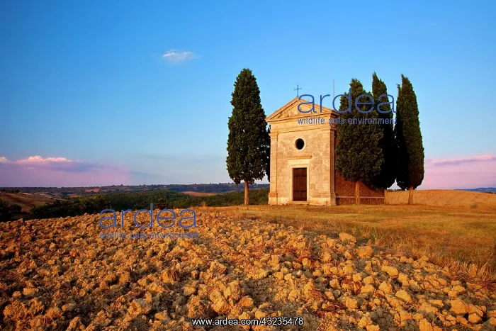 : Cappella di Vitaleta at sunset, San Quirico : Cappella di Vitaleta at sunset, San Quirico
