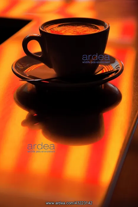 : Cappucino reflection, Lugano, Ticino Canton : Cappucino reflection, Lugano, Ticino Canton