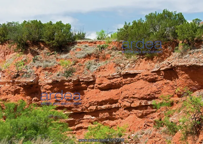 : Caprock Canyon State Park : Caprock Canyon State Park