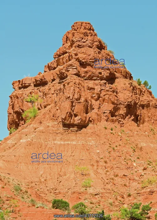 : Caprock Canyon State Park : Caprock Canyon State Park