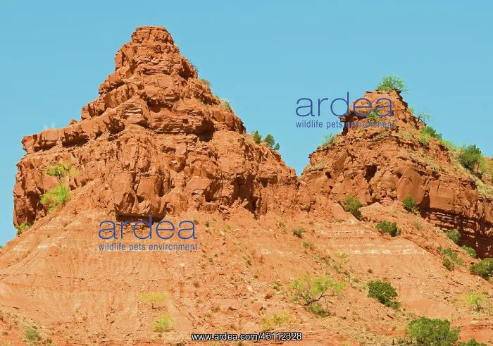 : Caprock Canyon State Park : Caprock Canyon State Park
