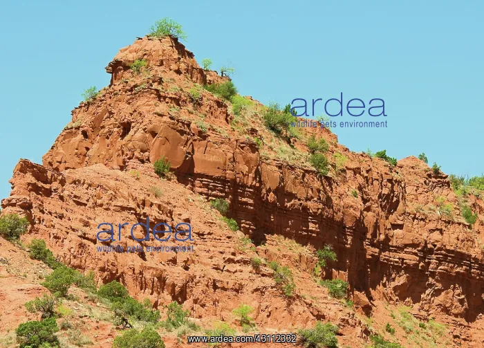 : Caprock Canyon State Park : Caprock Canyon State Park