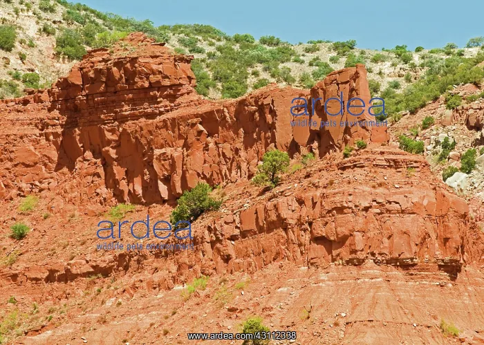: Caprock Canyon State Park : Caprock Canyon State Park