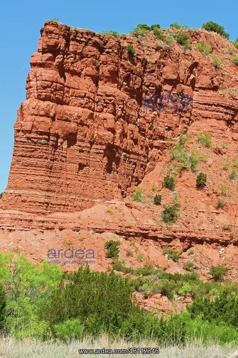 : Caprock Canyon State Park : Caprock Canyon State Park