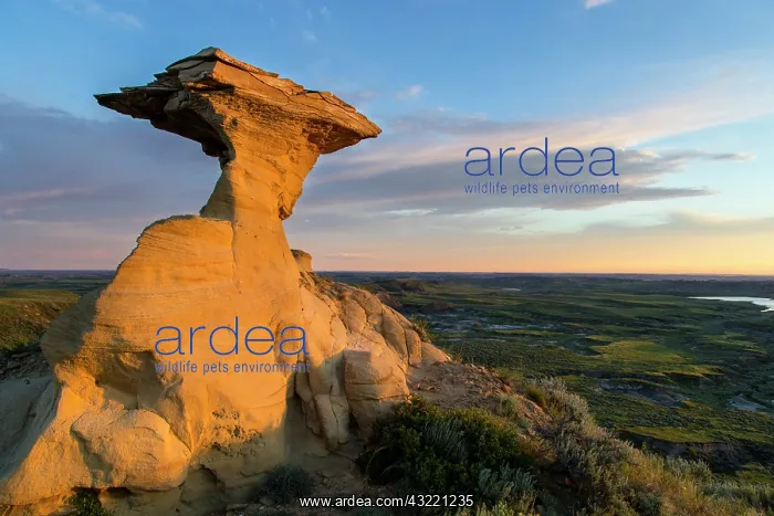 : Caprock sandstone badlands formation near : Caprock sandstone badlands formation near