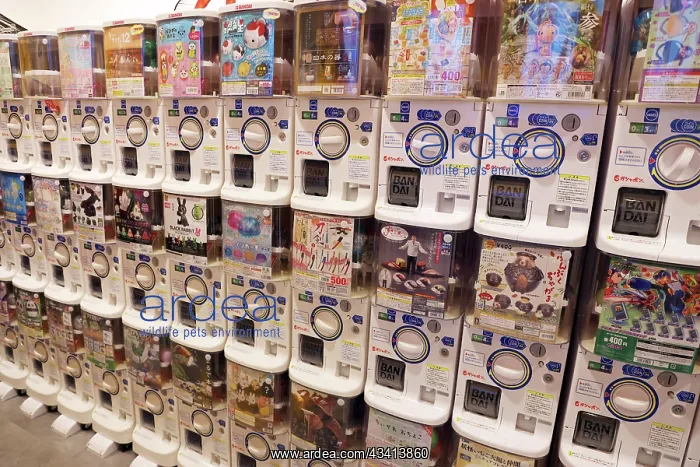: Capsule Lab capsule toy shop in Harajuku, Tokyo, Japan : Capsule Lab capsule toy shop in Harajuku, Tokyo, Japan