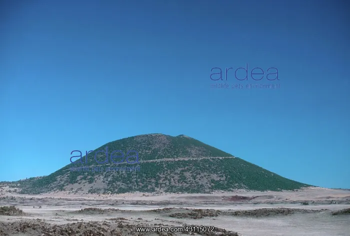 : Capulin Mountain : Capulin Mountain