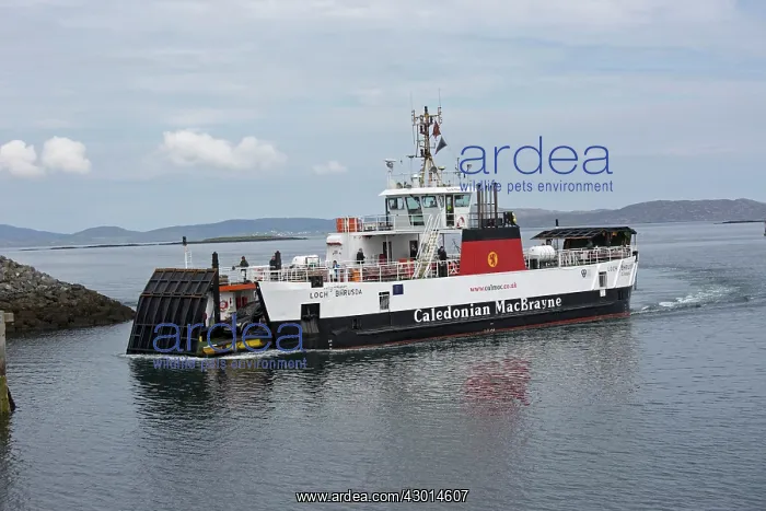 : Car Ferry. Bhrusda, Castlebay, Barra, Outer Hebrides, Scotland : Car Ferry. Bhrusda, Castlebay, Barra, Outer Hebrides, Scotland