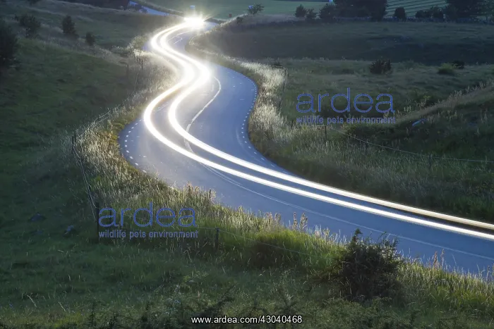 : Car lights at corkscrew road - Havaeng - Sweden : Car lights at corkscrew road - Havaeng - Sweden