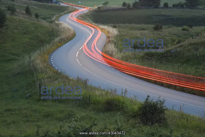 : Car lights at corkscrew road - Havaeng - Sweden : Car lights at corkscrew road - Havaeng - Sweden