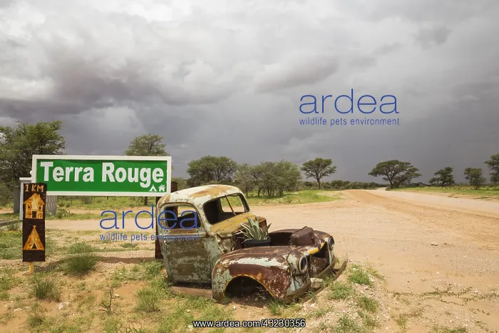 : Car wreck at the entrance gate of the Terra Rouge : Car wreck at the entrance gate of the Terra Rouge