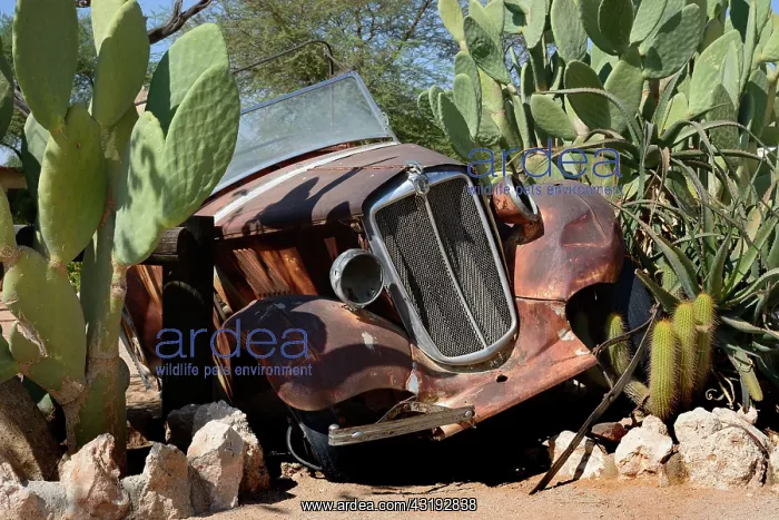 : Car wreck, Solitaire, Khomas Region, Namibia, Africa : Car wreck, Solitaire, Khomas Region, Namibia, Africa