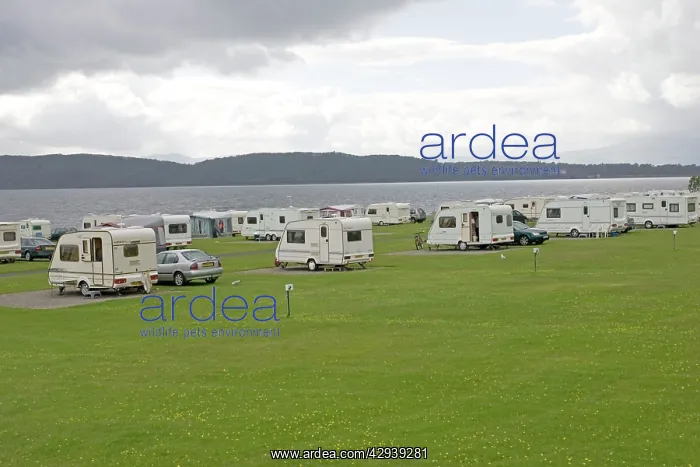 : Caravans on beach front Caravan Club Site, North : Caravans on beach front Caravan Club Site, North