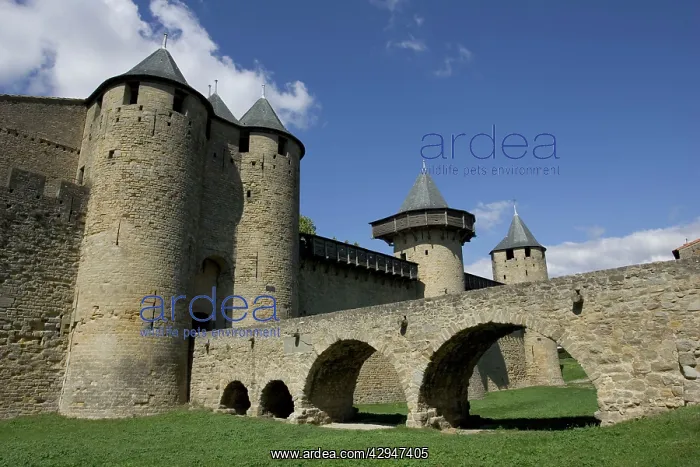 : Carcassonne - Inner fortifications of ancient city : Carcassonne - Inner fortifications of ancient city