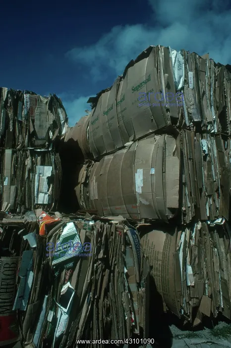 : Cardboard Recycling : Cardboard Recycling