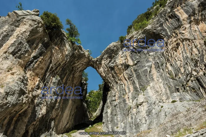 : Cares Gorge, Rio Cares, Picos de la Europa National : Cares Gorge, Rio Cares, Picos de la Europa National