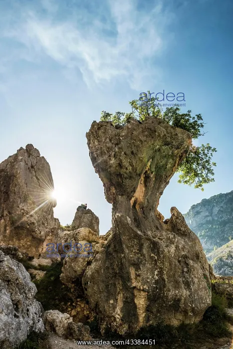 : Cares Gorge, Rio Cares, Picos de la Europa National : Cares Gorge, Rio Cares, Picos de la Europa National