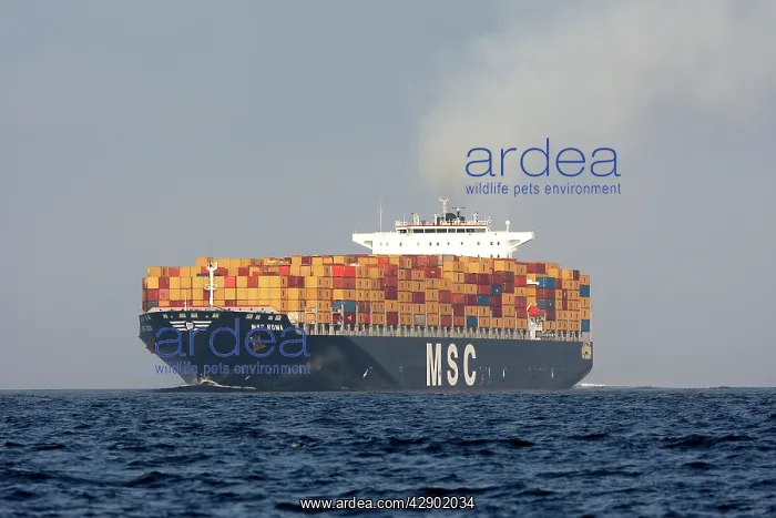 : Cargo ship - in the Strait of Gibraltar : Cargo ship - in the Strait of Gibraltar