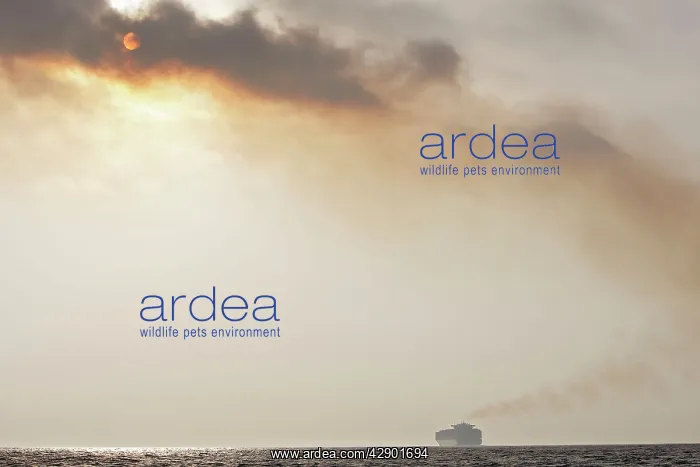 : Cargo Ship in the Straits of Gibraltar - showing pollution : Cargo Ship in the Straits of Gibraltar - showing pollution