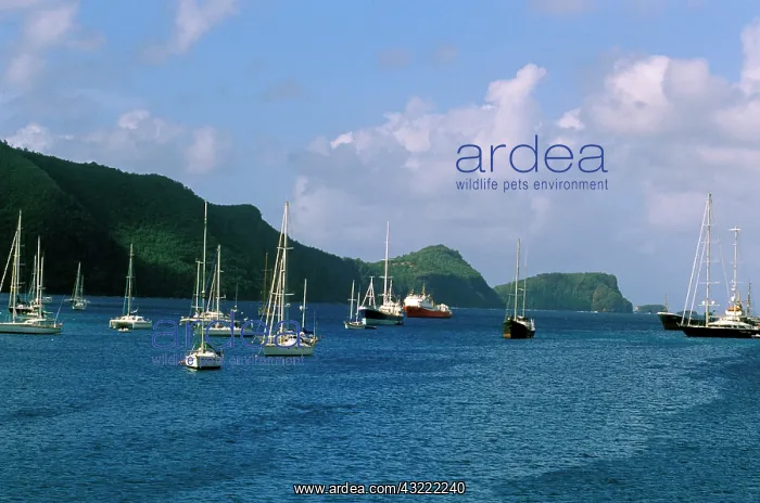 : Caribbean, Bequia. Boats on the water : Caribbean, Bequia. Boats on the water
