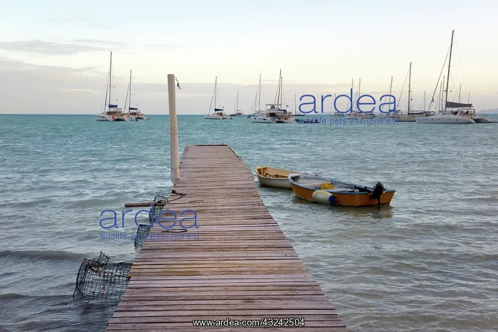  : Caribbean, British Virgin Islands, Anegada