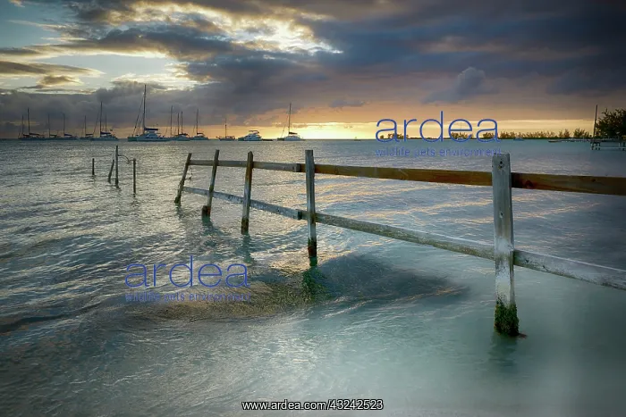 : Caribbean, British Virgin Islands, Anegada : Caribbean, British Virgin Islands, Anegada