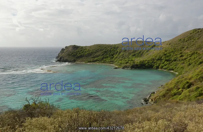 : Caribbean, British Virgin Islands, Norman : Caribbean, British Virgin Islands, Norman