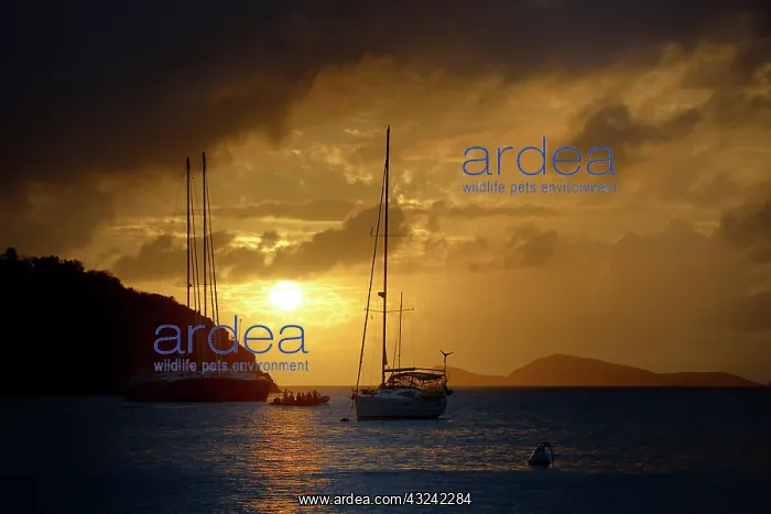 : Caribbean, British Virgin Islands, Norman : Caribbean, British Virgin Islands, Norman