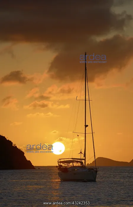: Caribbean, British Virgin Islands, Norman : Caribbean, British Virgin Islands, Norman