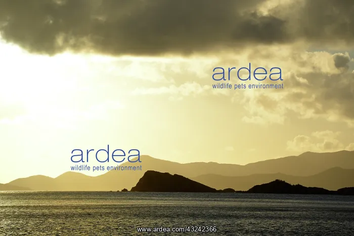 : Caribbean, British Virgin Islands, Peter : Caribbean, British Virgin Islands, Peter