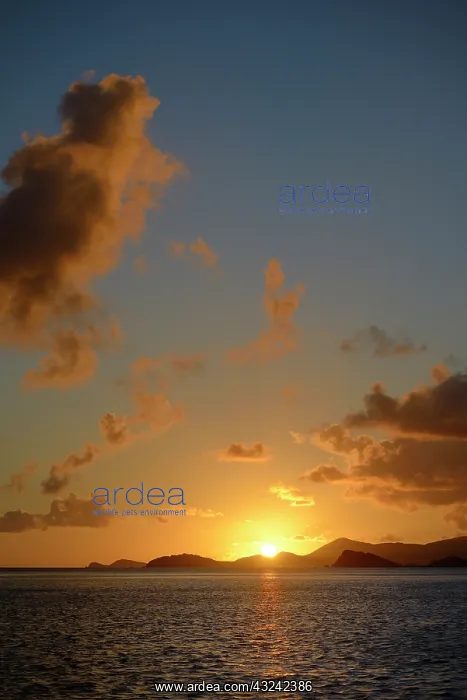 : Caribbean, British Virgin Islands, Peter : Caribbean, British Virgin Islands, Peter