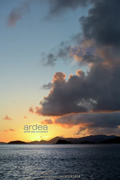 : Caribbean, British Virgin Islands, Peter : Caribbean, British Virgin Islands, Peter