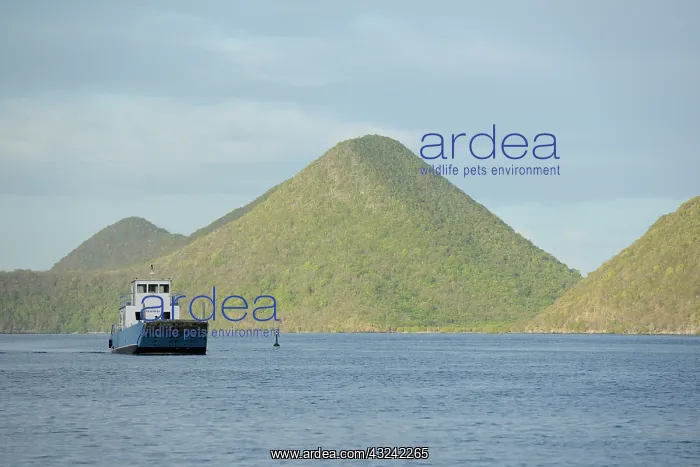 : Caribbean, British Virgin Islands, Tortola : Caribbean, British Virgin Islands, Tortola