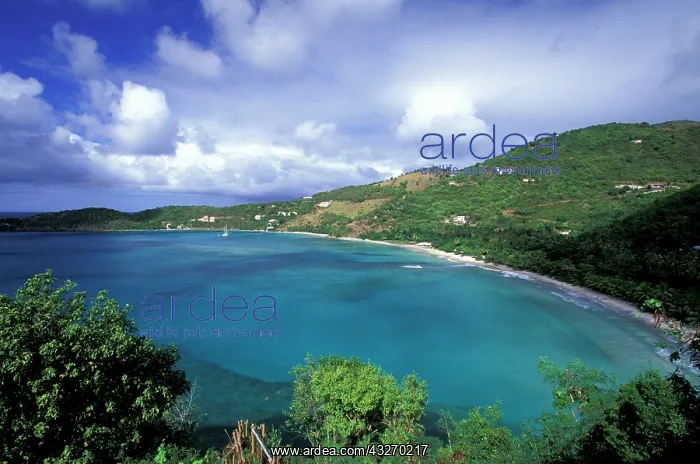  : Caribbean, British Virgin Islands, Tortola
