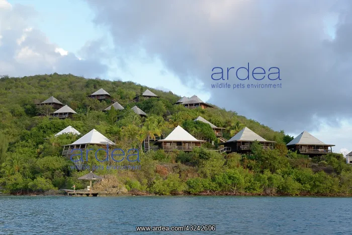  : Caribbean, British Virgin Islands, Virgin