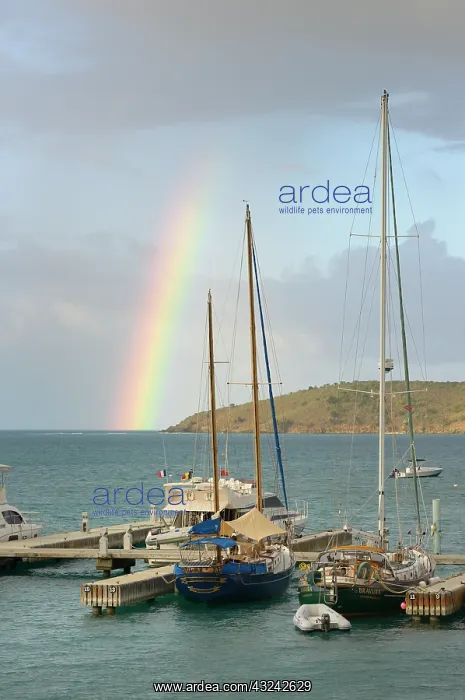 : Caribbean, British Virgin Islands, Virgin : Caribbean, British Virgin Islands, Virgin