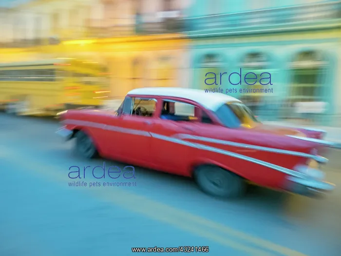 : Caribbean, Cuba, Havana, Havana Vieja, UNESCO World : Caribbean, Cuba, Havana, Havana Vieja, UNESCO World