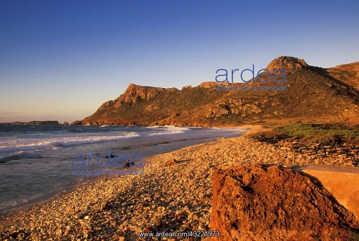 : Caribbean, French West Indies, St. Barthelemy : Caribbean, French West Indies, St. Barthelemy